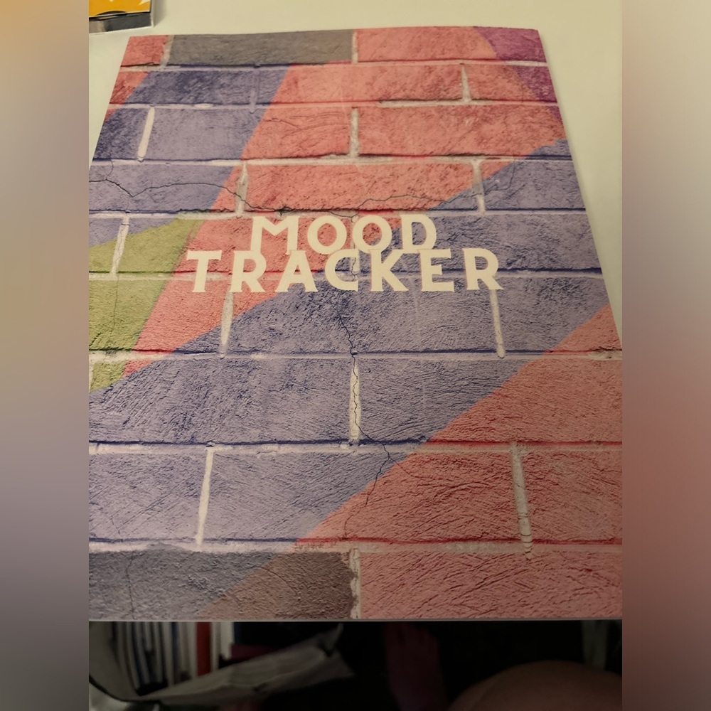 Colorful mood journal​